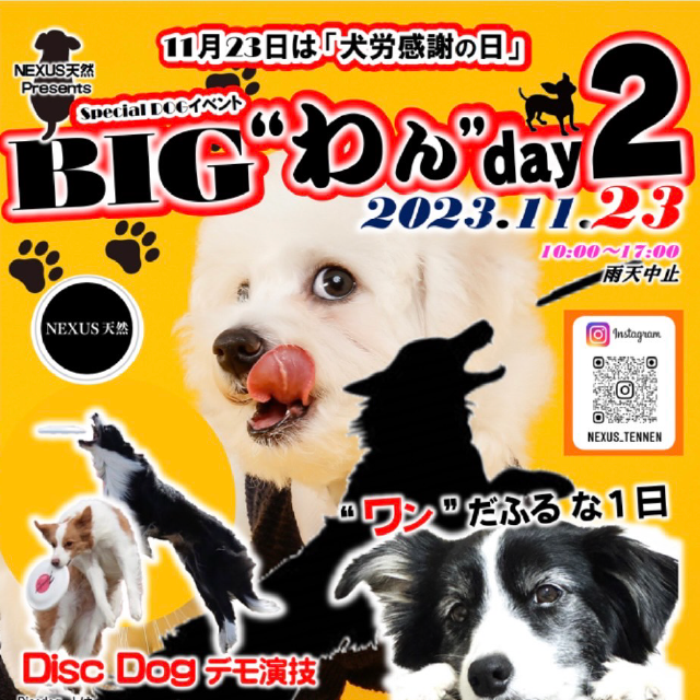 11月23日は「犬労感謝の日」BIG“わん”day2　“ワン”だふるな1日