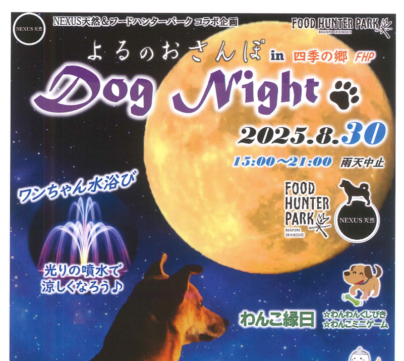 DOGNIGHT