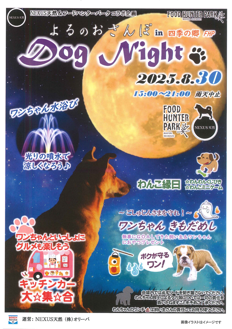 DOGNIGHT